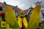 Thumbs/tn_Grote optocht 2016 045.jpg